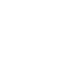 Scroll Down Animation